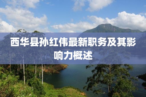 西華縣孫紅偉最新職務(wù)及其影響力概述