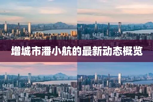 增城市潘小航的最新動態(tài)概覽