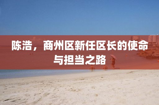 陳浩，商州區(qū)新任區(qū)長的使命與擔(dān)當(dāng)之路