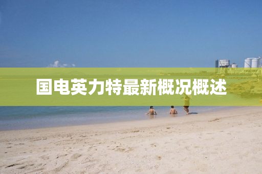 國電英力特最新概況概述