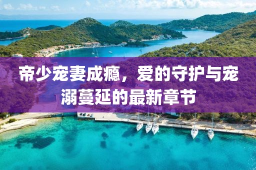 帝少寵妻成癮，愛的守護(hù)與寵溺蔓延的最新章節(jié)