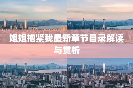 姐姐抱緊我最新章節(jié)目錄解讀與賞析