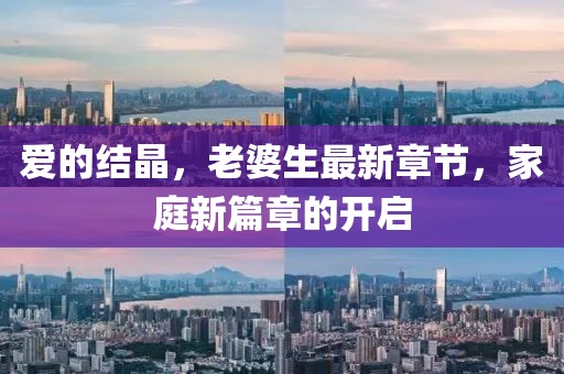 愛的結(jié)晶，老婆生最新章節(jié)，家庭新篇章的開啟