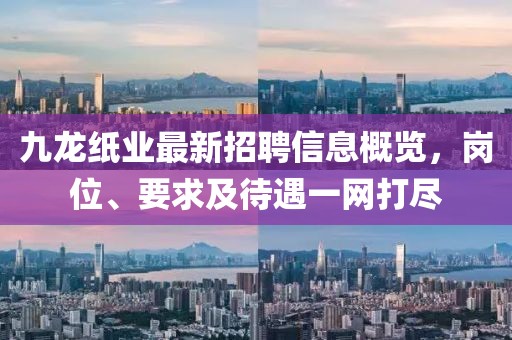 九龍紙業(yè)最新招聘信息概覽，崗位、要求及待遇一網(wǎng)打盡