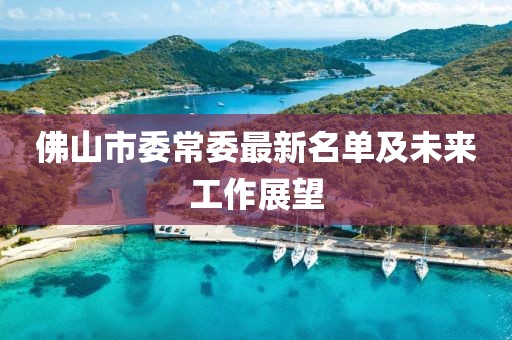 佛山市委常委最新名單及未來工作展望