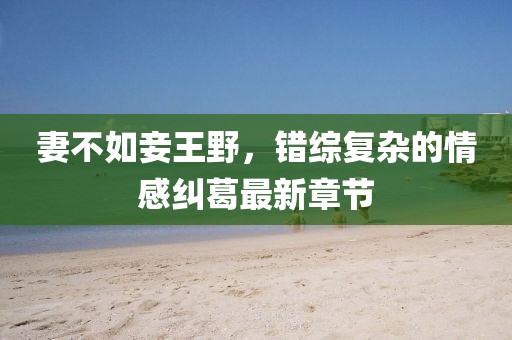 妻不如妾王野，錯綜復(fù)雜的情感糾葛最新章節(jié)