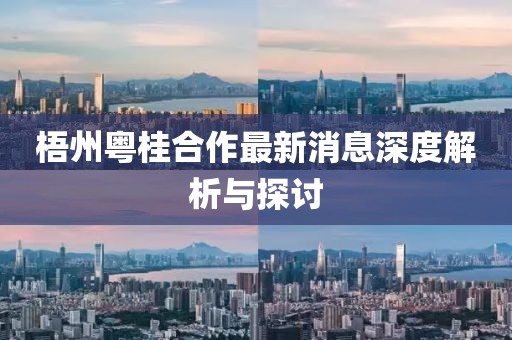 梧州粵桂合作最新消息深度解析與探討