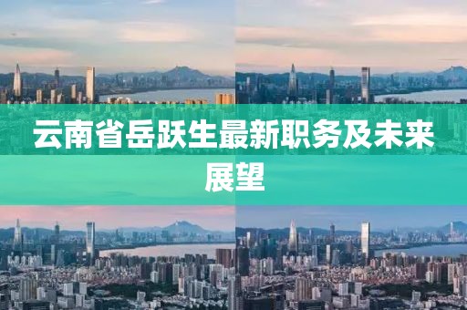 云南省岳躍生最新職務(wù)及未來展望