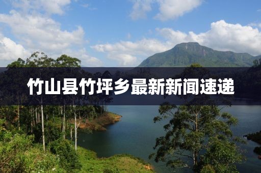竹山縣竹坪鄉(xiāng)最新新聞速遞