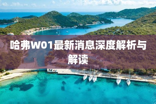 哈弗W01最新消息深度解析與解讀