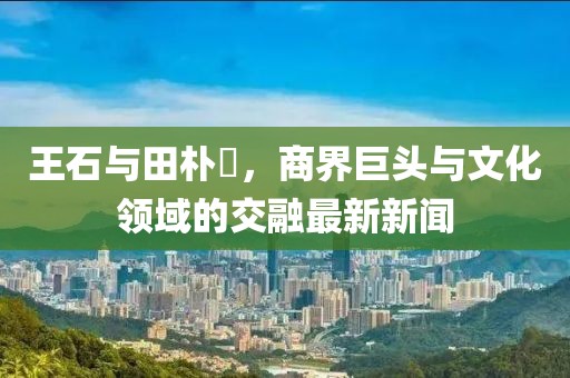 王石與田樸琤，商界巨頭與文化領(lǐng)域的交融最新新聞