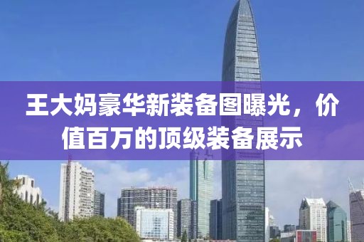 王大媽豪華新裝備圖曝光，價值百萬的頂級裝備展示