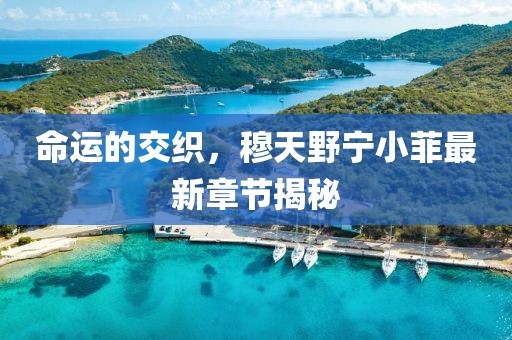 2025年2月21日 第7頁
