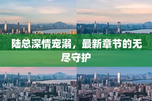 陸總深情寵溺，最新章節(jié)的無盡守護