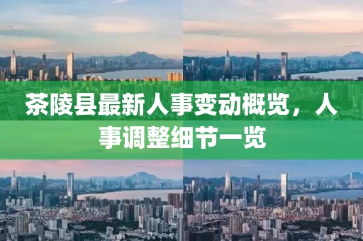 茶陵縣最新人事變動概覽，人事調(diào)整細(xì)節(jié)一覽