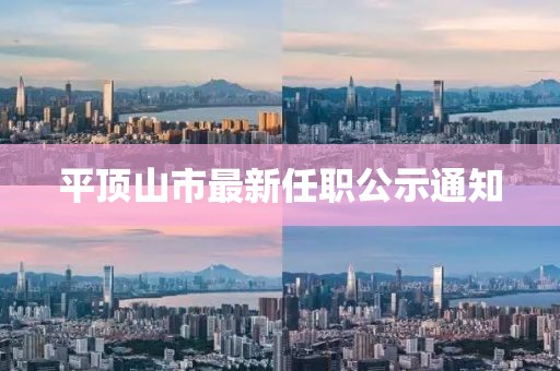 平頂山市最新任職公示通知
