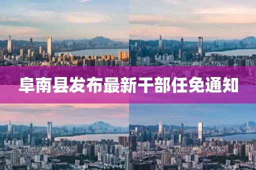 阜南縣發(fā)布最新干部任免通知