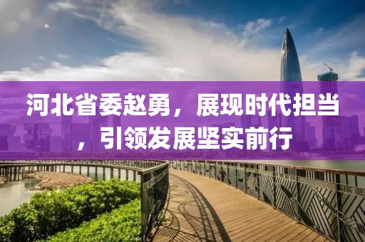 河北省委趙勇，展現(xiàn)時代擔當，引領發(fā)展堅實前行