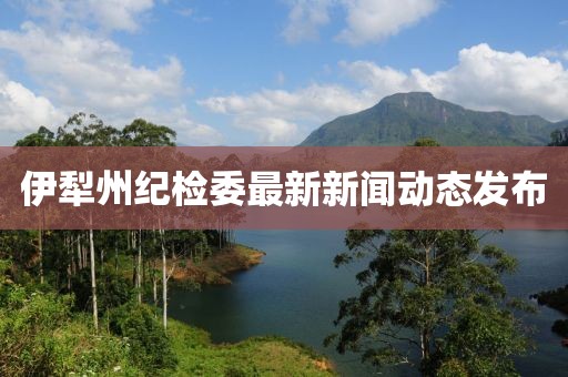伊犁州紀檢委最新新聞動態(tài)發(fā)布