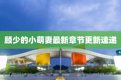 顧少的小萌妻最新章節(jié)更新速遞
