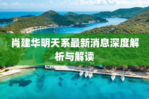 肖建華明天系最新消息深度解析與解讀