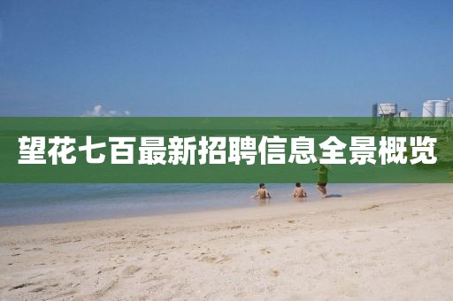 望花七百最新招聘信息全景概覽