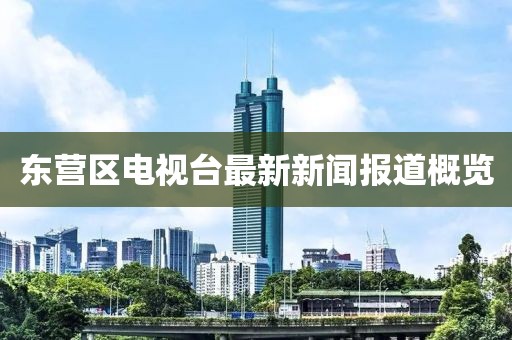 東營區(qū)電視臺最新新聞報道概覽