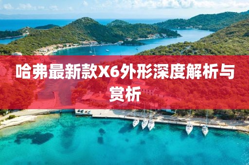 哈弗最新款X6外形深度解析與賞析
