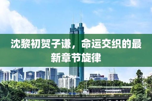 沈黎初賀子謙，命運(yùn)交織的最新章節(jié)旋律