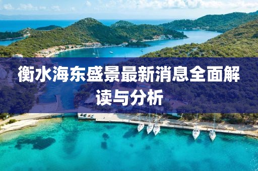 衡水海東盛景最新消息全面解讀與分析