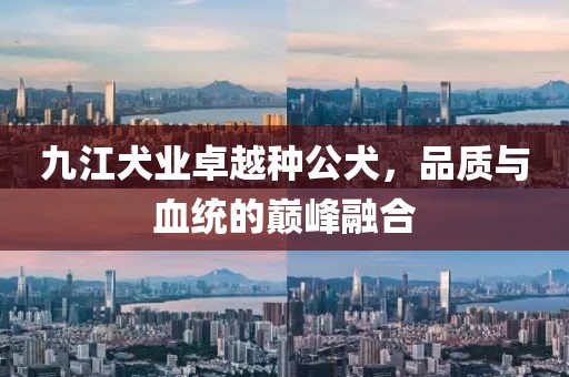 九江犬業(yè)卓越種公犬，品質(zhì)與血統(tǒng)的巔峰融合