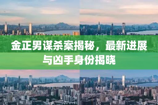 金正男謀殺案揭秘，最新進(jìn)展與兇手身份揭曉
