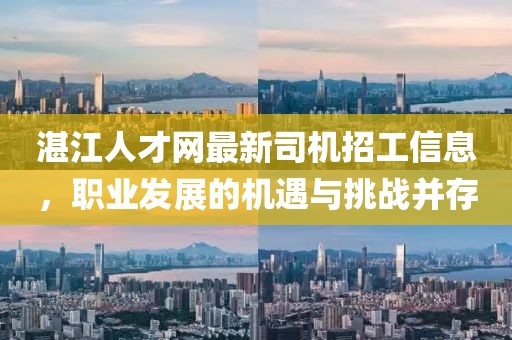 湛江人才網(wǎng)最新司機(jī)招工信息，職業(yè)發(fā)展的機(jī)遇與挑戰(zhàn)并存