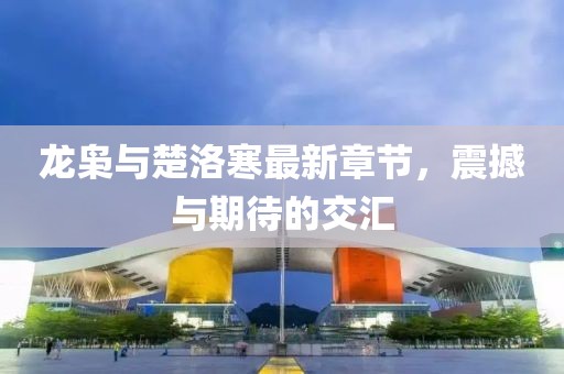 龍梟與楚洛寒最新章節(jié)，震撼與期待的交匯