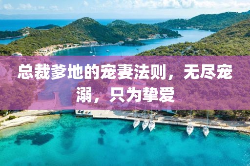 總裁爹地的寵妻法則，無盡寵溺，只為摯愛