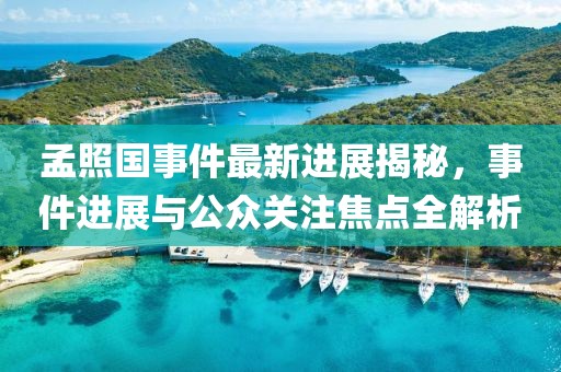 孟照國事件最新進展揭秘，事件進展與公眾關(guān)注焦點全解析