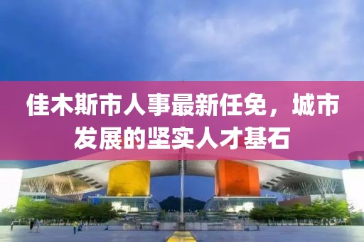 佳木斯市人事最新任免，城市發(fā)展的堅實人才基石