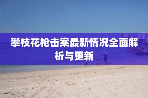 攀枝花槍擊案最新情況全面解析與更新