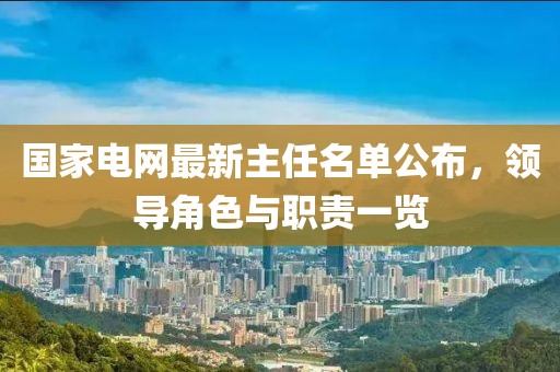 國(guó)家電網(wǎng)最新主任名單公布，領(lǐng)導(dǎo)角色與職責(zé)一覽