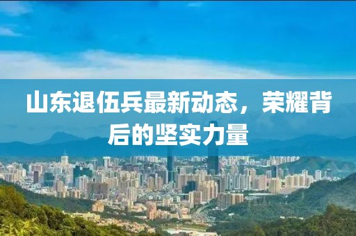 山東退伍兵最新動(dòng)態(tài)，榮耀背后的堅(jiān)實(shí)力量