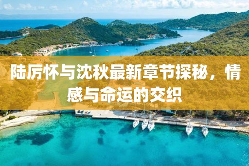 陸厲懷與沈秋最新章節(jié)探秘，情感與命運(yùn)的交織