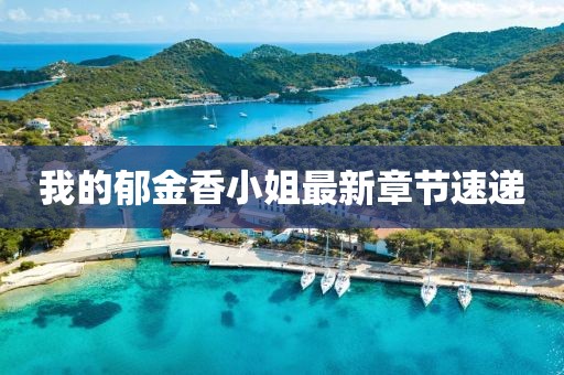 我的郁金香小姐最新章節(jié)速遞