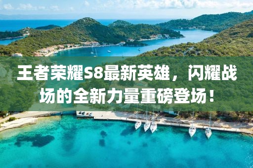 王者榮耀S8最新英雄，閃耀戰(zhàn)場的全新力量重磅登場！