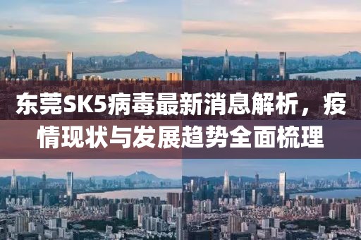 東莞SK5病毒最新消息解析，疫情現(xiàn)狀與發(fā)展趨勢(shì)全面梳理