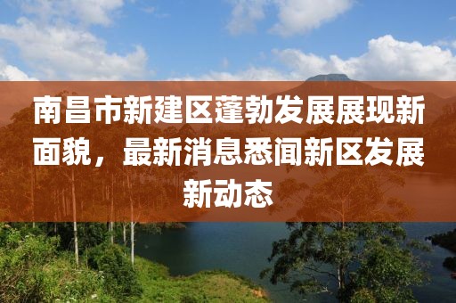 南昌市新建區(qū)蓬勃發(fā)展展現(xiàn)新面貌，最新消息悉聞新區(qū)發(fā)展新動(dòng)態(tài)
