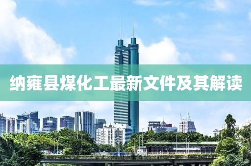 納雍縣煤化工最新文件及其解讀