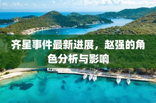 齊星事件最新進(jìn)展，趙強(qiáng)的角色分析與影響