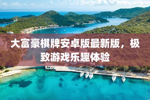 大富豪棋牌安卓版最新版，極致游戲樂趣體驗(yàn)