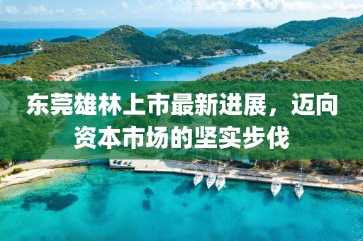 東莞雄林上市最新進(jìn)展，邁向資本市場(chǎng)的堅(jiān)實(shí)步伐