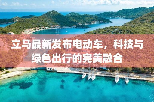 立馬最新發(fā)布電動(dòng)車，科技與綠色出行的完美融合